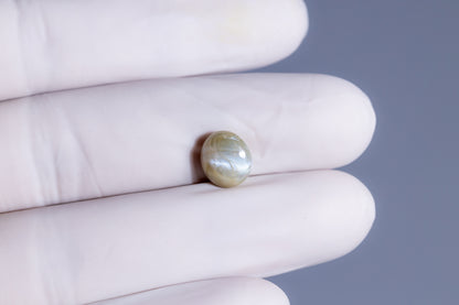 Cat's Eye (Lehsuniya) 4.35 Carats / 4.78 Ratti