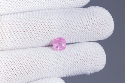 Natural Pink Sapphire 2.48 Carats / 2.48 Ratti