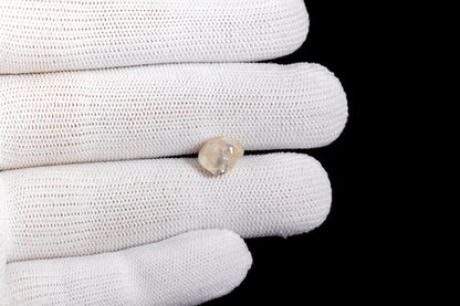 Basra Pearl 3.97 Carats / 4.36 Ratti