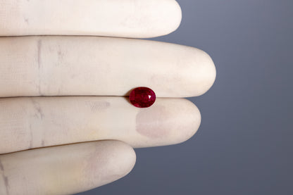 Mozambique Ruby (Manik) 1.78 Carats / 1.96 Ratti
