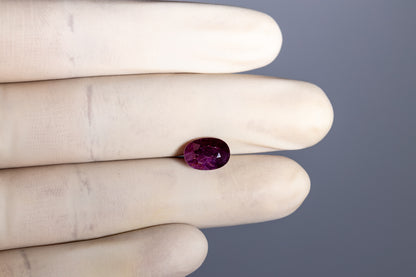 Mozambique Ruby (Manik) 4.80 Carats / 5.27 Ratti