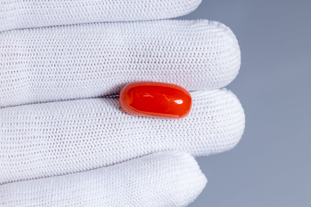 Italian Red Coral 11.66 Carats / 12.81 Ratti