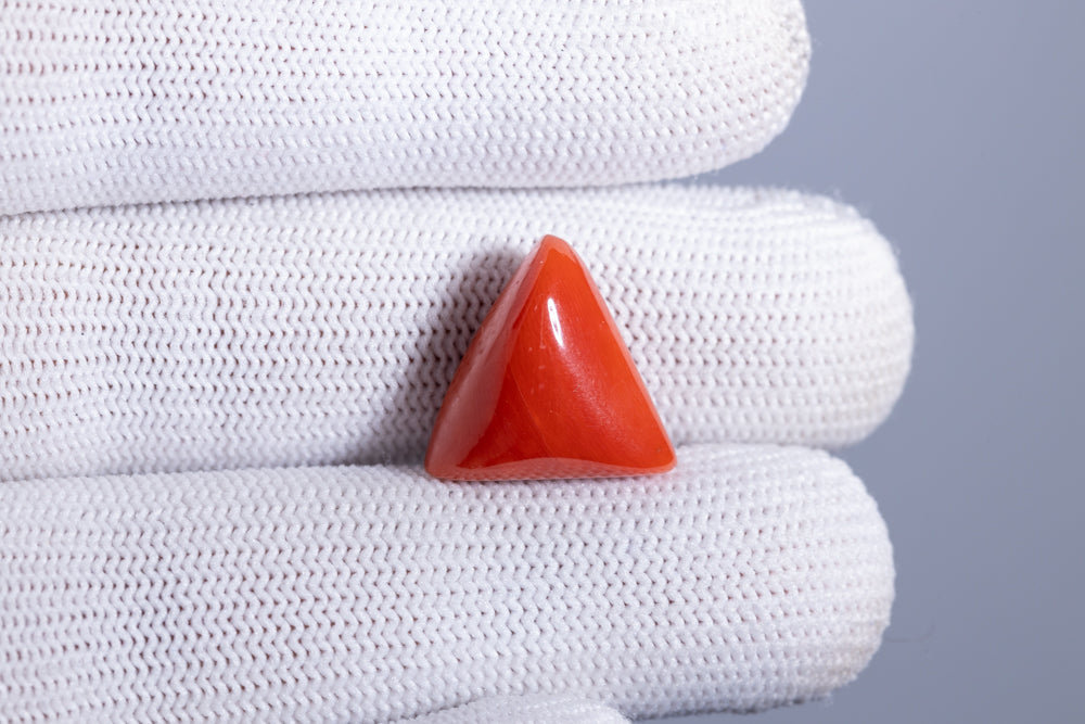 Italian Red Coral 14.05 Carats / 15.44 Ratti