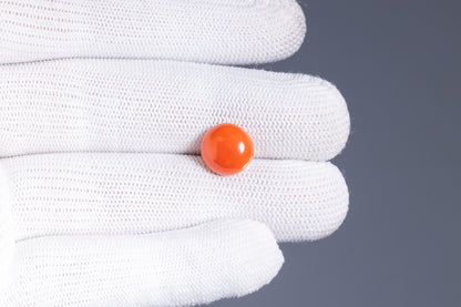 Japanese Red Coral 4.69 Carats / 5.15 Ratti