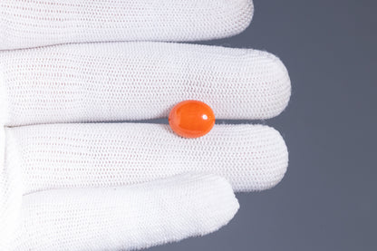 Japanese Red Coral 4.65 Carats / 5.11 Ratti