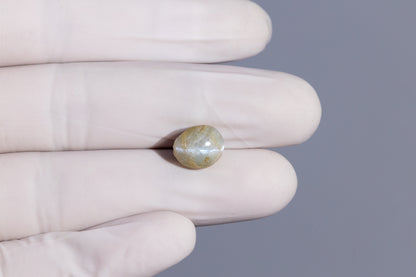 Cat's Eye (Lehsuniya) 7.67 Carats / 8.43 Ratti
