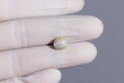 Cat's Eye (Lehsuniya) 4.13 Carats / 4.54 Ratti