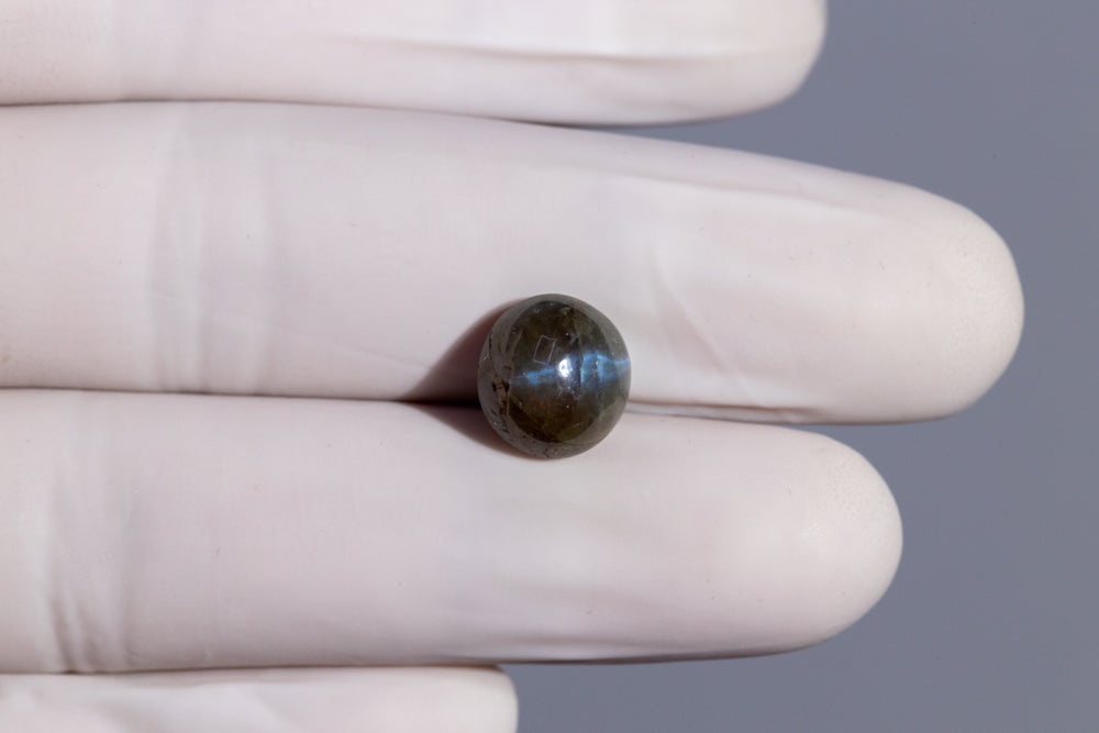 Cat's Eye (Lehsuniya) 7.56 Carats / 8.31 Ratti