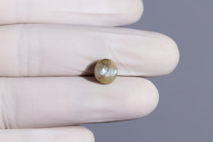 Cat's Eye (Lehsuniya) 5.34 Carats / 5.87 Ratti