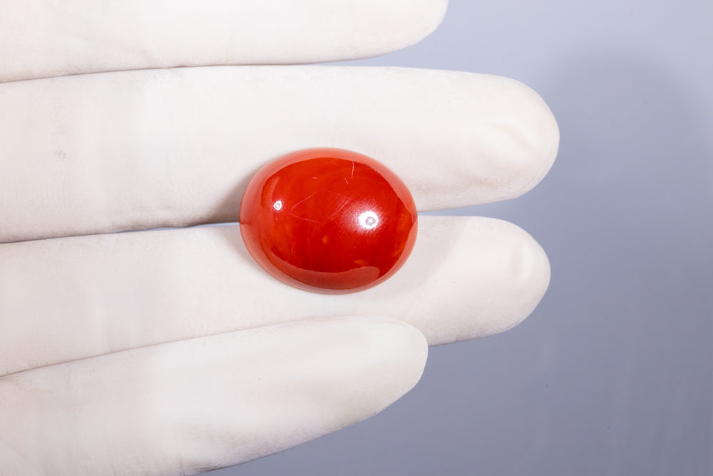 Japanese Red Coral 29.31 Carats / 32.21 Ratti