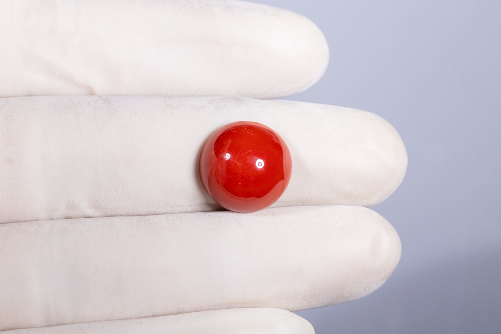 Japanese Red Coral 10.04 Carats / 11.03 Ratti