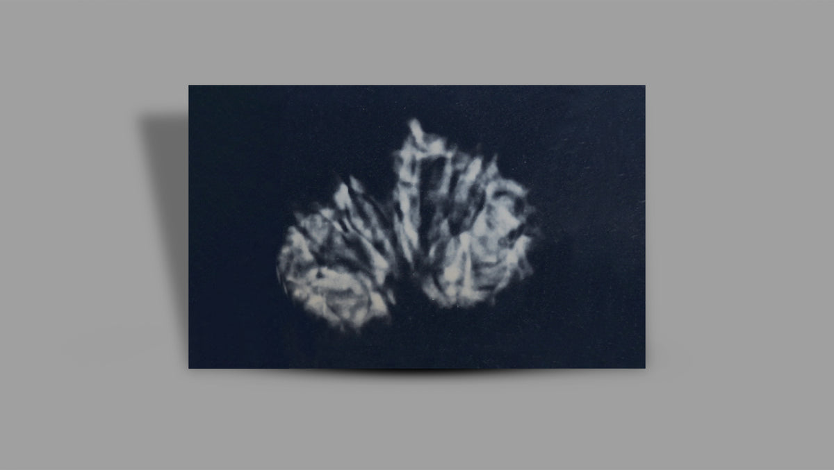 10 MUKHI GAURI SHANKAR RUDRAKSHA (30.80 mm)