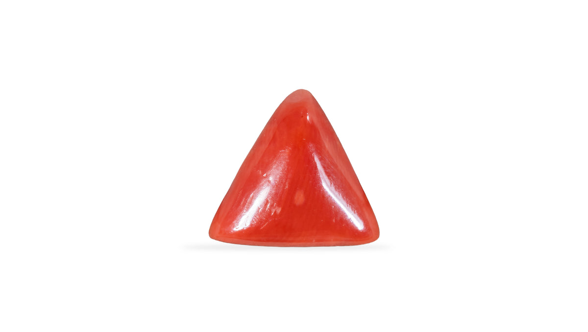 Italian Red Coral 5.09 Carats / 5.59 Ratti