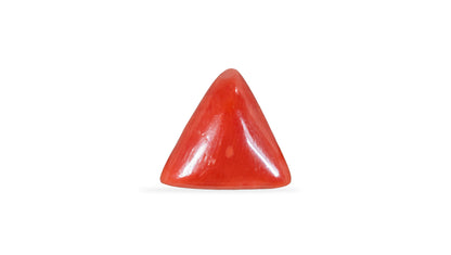 Italian Red Coral 5.09 Carats / 5.59 Ratti