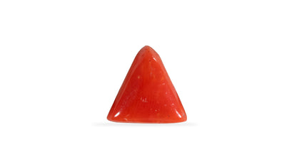Italian Red Coral 6.06 Carats / 6.66 Ratti