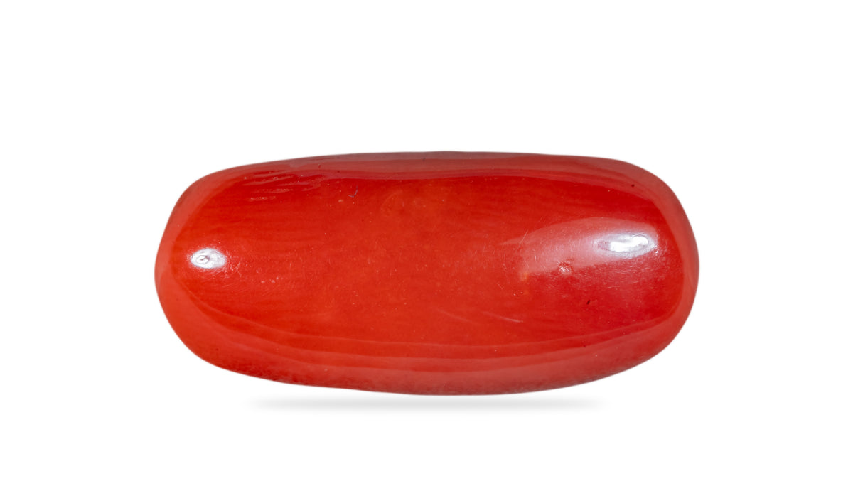 Italian Red Coral 7.44 Carats / 8.18 Ratti