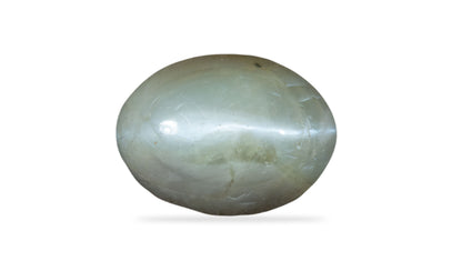 Cat's Eye (Lehsuniya) 6.63 Carats / 7.29 Ratti