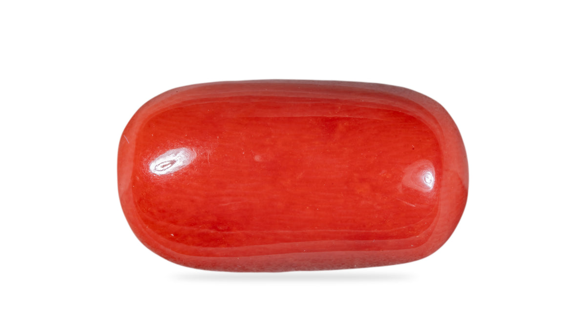 Italian Red Coral 14.25 Carats / 15.66 Ratti