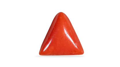 Italian Red Coral 6.29 Carats / 6.91 Ratti