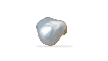 Venezuela Pearl6.92 Carats / 7.6 Ratti