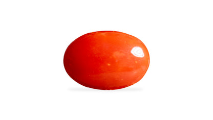 Japanese Red Coral (Moonga) 6.06 Carats / 6.66 Ratti