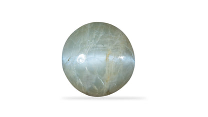Cat's Eye (Lehsuniya) 8.26 Carats / 9.08 Ratti