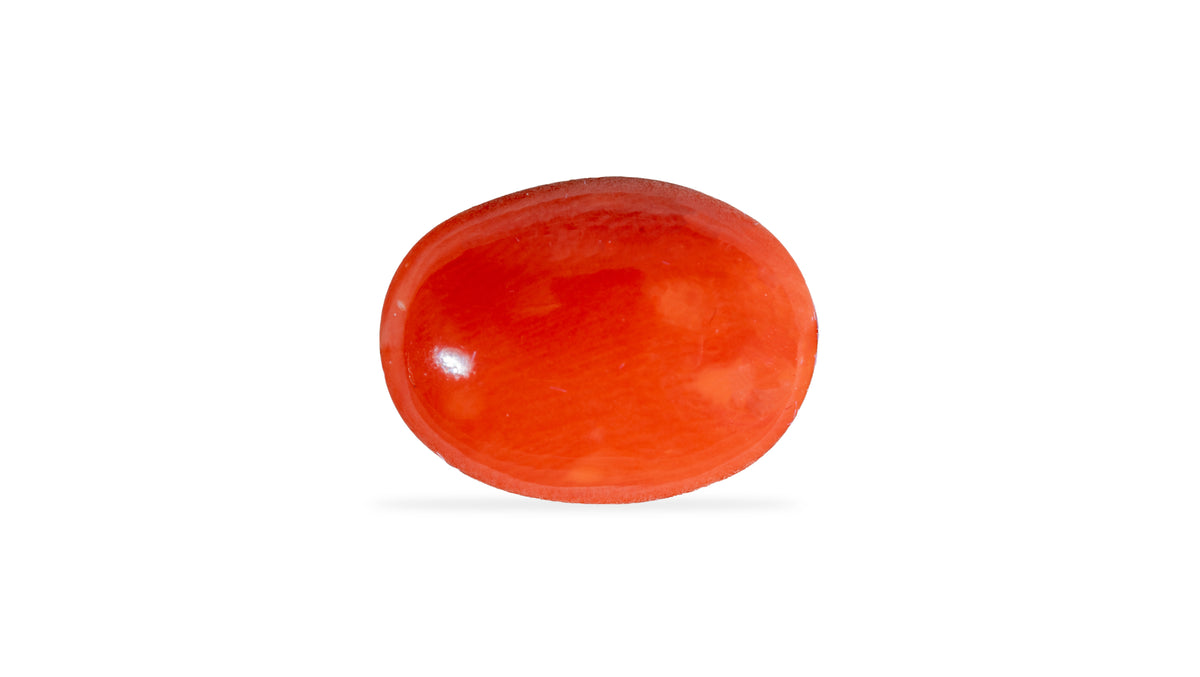 Japanese Red Coral 4.43 Carats / 4.87 Ratti