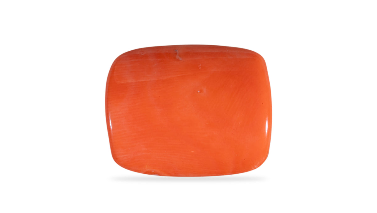 Japanese Red Coral 19.90 Carats / 21.87 Ratti