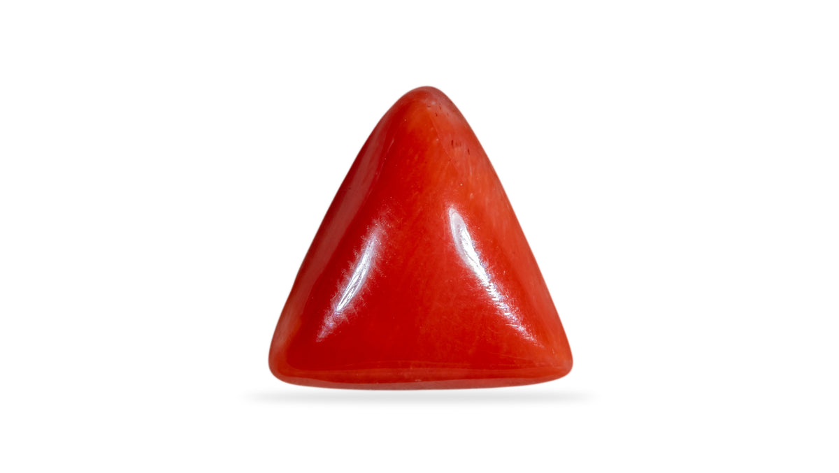 Italian Red Coral 6.26 Carats / 6.88 Ratti