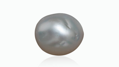 Venezuela Pearl7.55 Carats / 8.3 Ratti