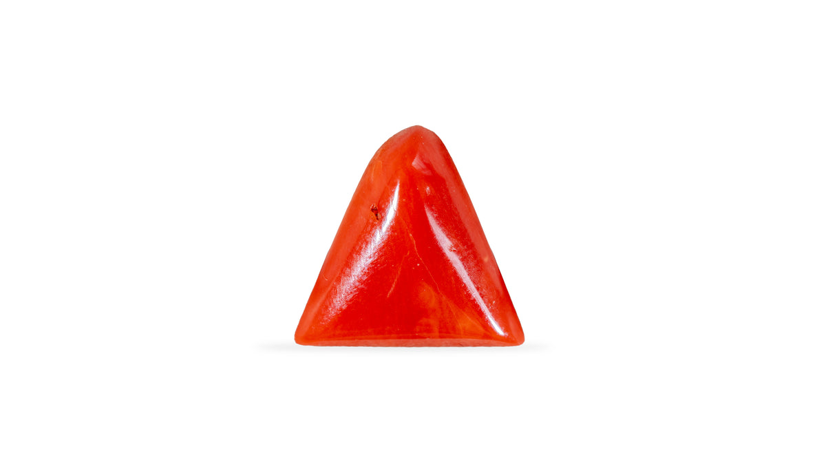 Italian Red Coral 5.39 Carats / 5.92 Ratti