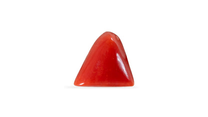 Italian Red Coral 5.27 Carats / 5.79 Ratti