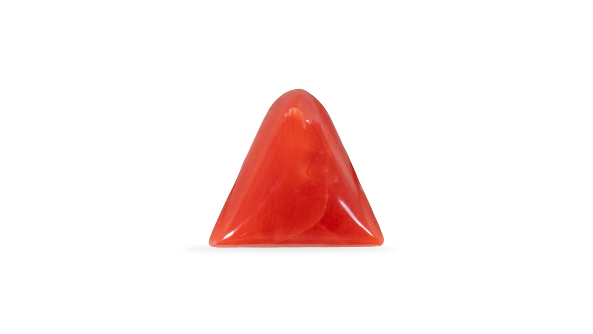 Italian Red Coral 5.74 Carats / 6.31 Ratti