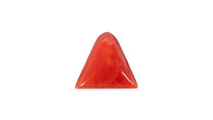 Italian Red Coral 5.74 Carats / 6.31 Ratti