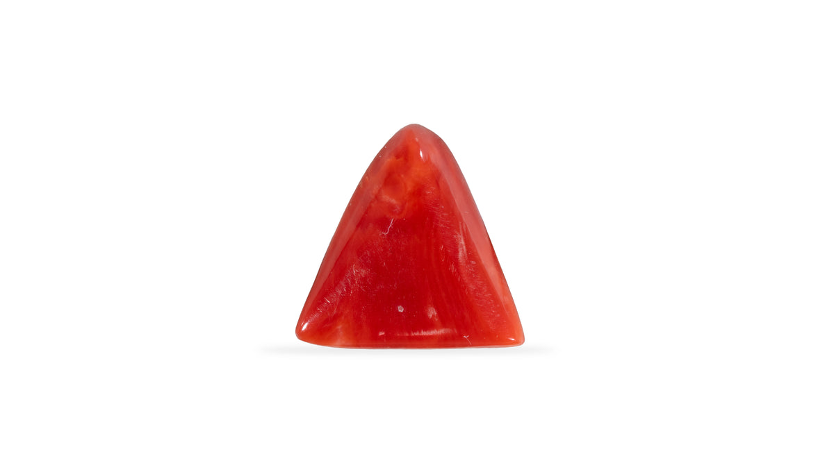 Italian Red Coral 5.80 Carats / 6.37 Ratti
