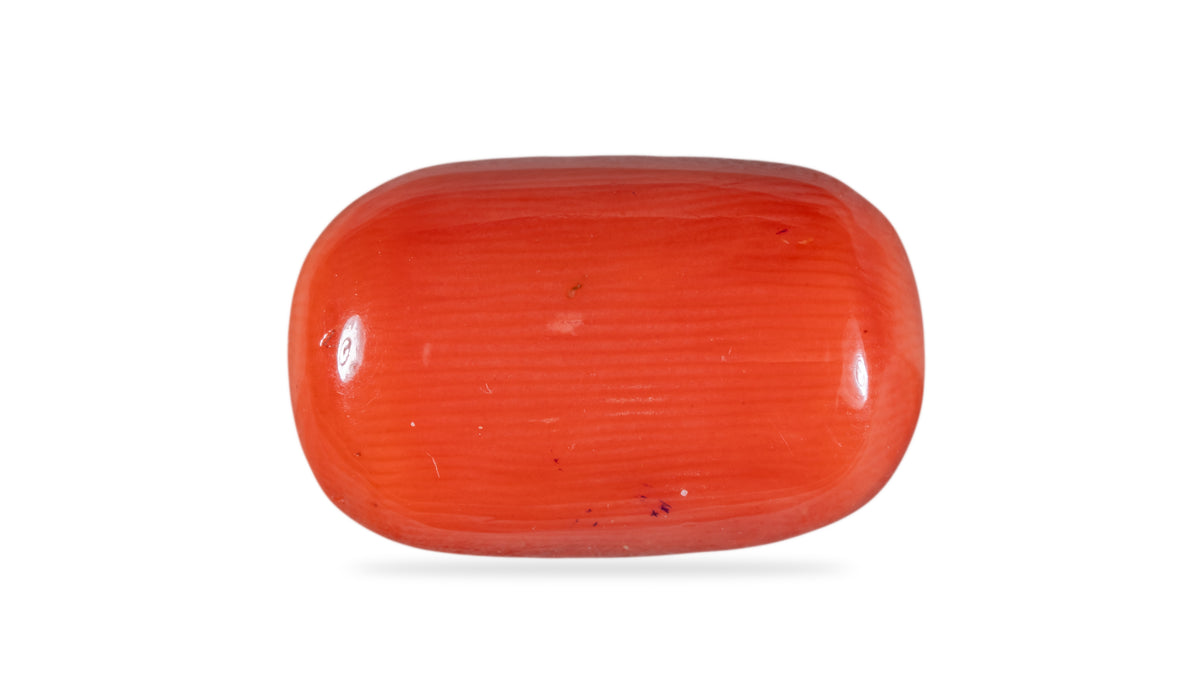 Italian Red Coral 8.61 Carats / 9.46 Ratti