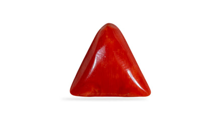 Italian Red Coral 11.81 Carats / 12.98 Ratti