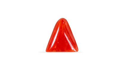 Italian Red Coral 6.04 Carats / 6.64 Ratti