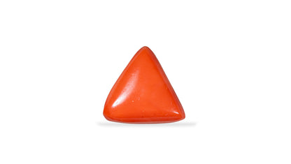 Italian Red Coral 31.46 Carats / 34.57 Ratti