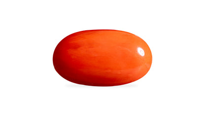 Japanese Red Coral 5.79 Carats / 6.36 Ratti