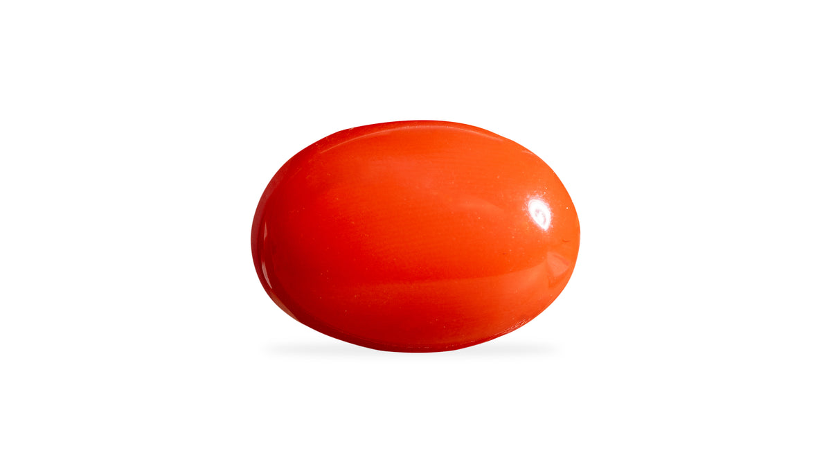 Japanese Red Coral 6.26 Carats / 6.88 Ratti