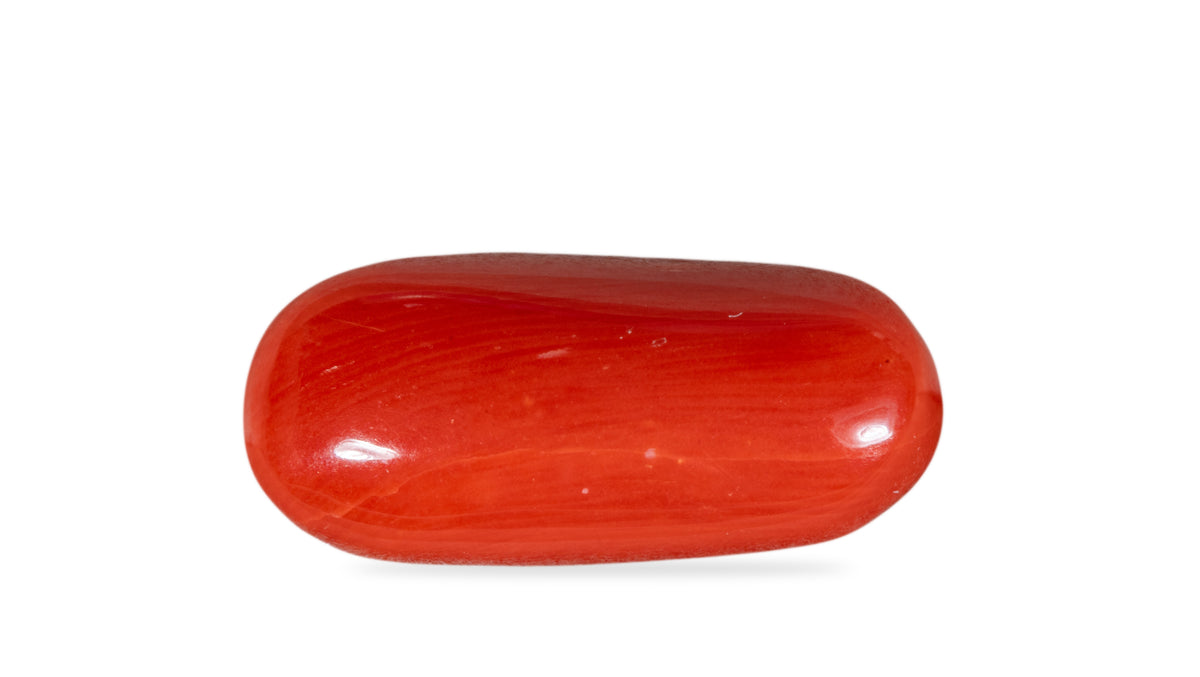 Italian Red Coral 5.91 Carats / 6.49 Ratti