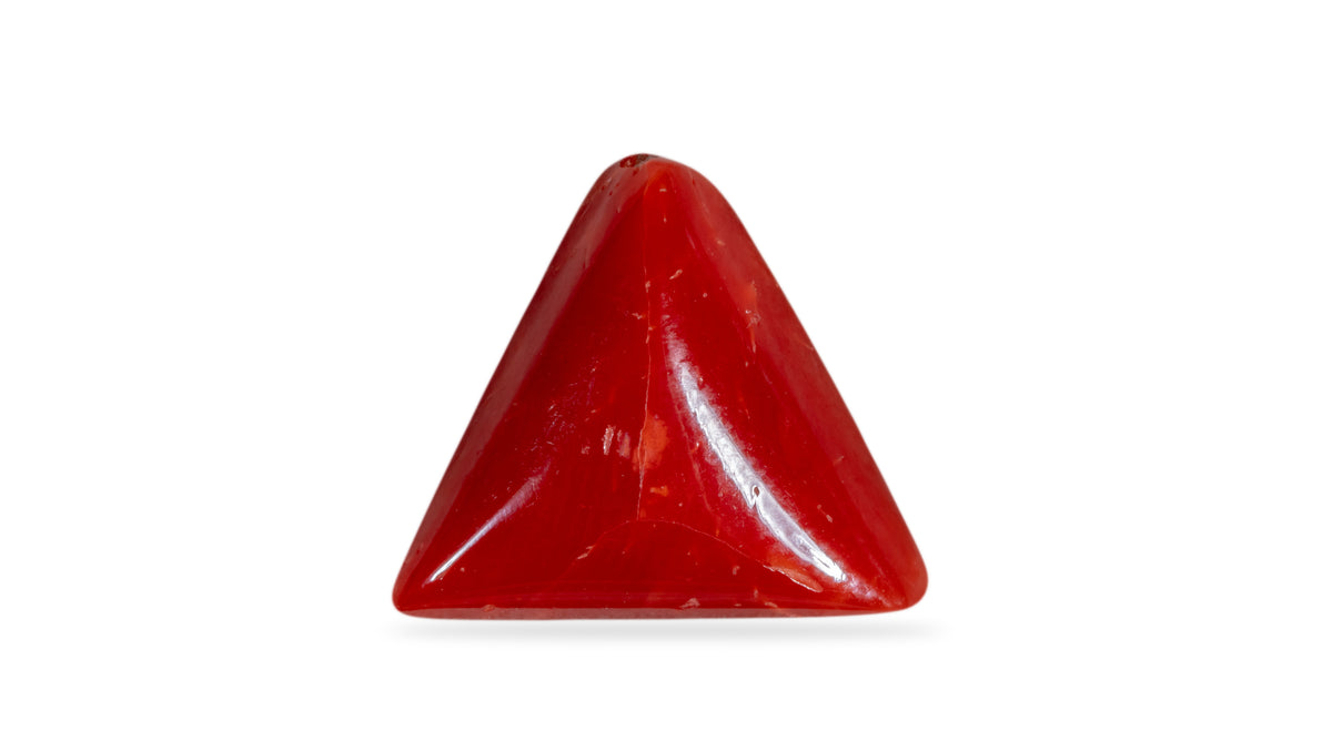 Italian Red Coral 6.06 Carats / 6.66 Ratti