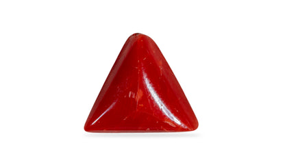 Italian Red Coral 6.06 Carats / 6.66 Ratti