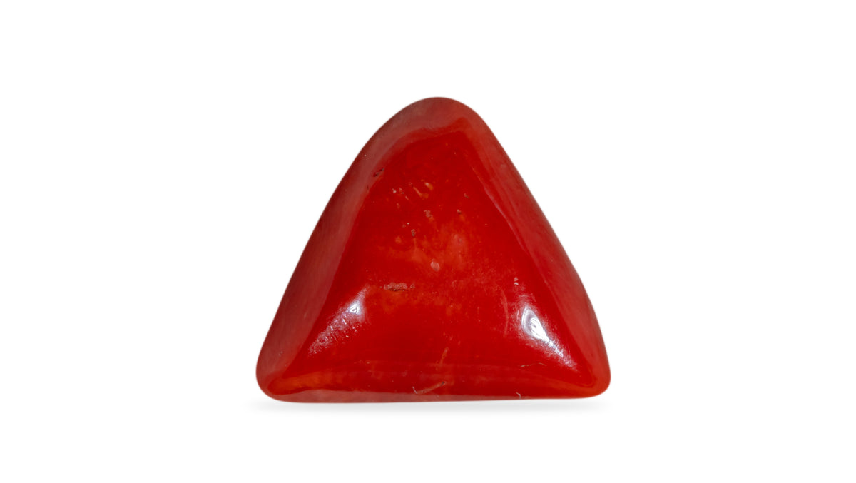 Italian Red Coral 6.28 Carats / 6.9 Ratti
