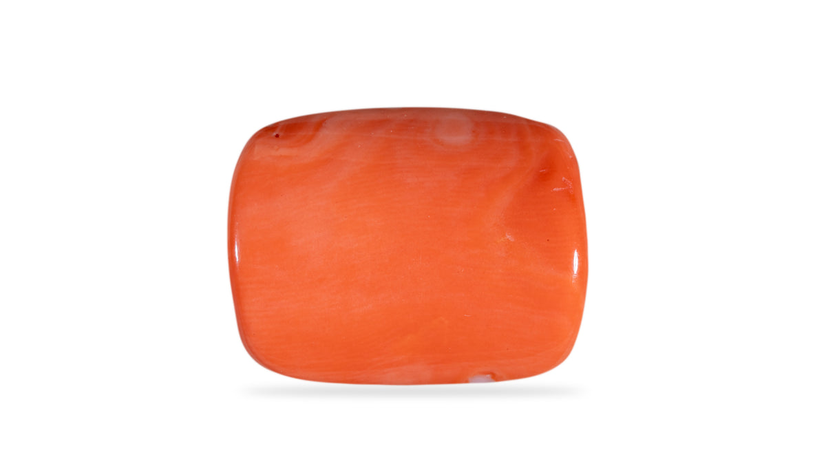 Japanese Red Coral 21.15 Carats / 23.24 Ratti