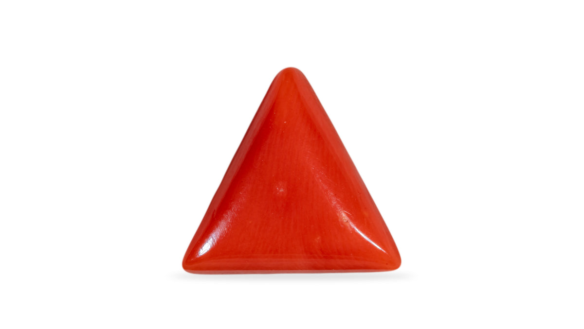 Italian Red Coral 6.48 Carats / 7.12 Ratti
