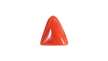 Italian Red Coral 5.06 Carats / 5.56 Ratti