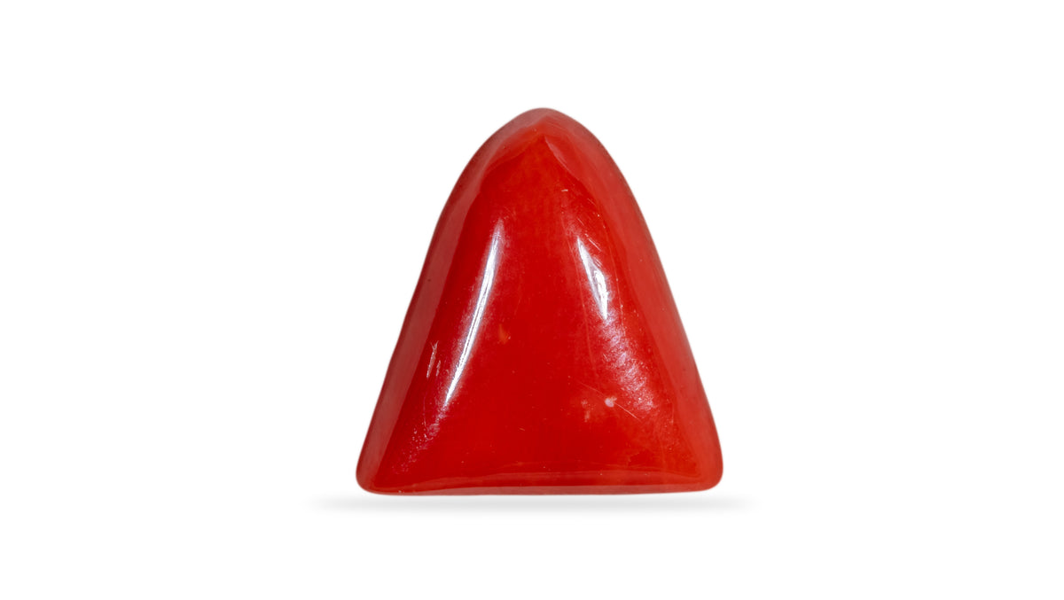 Italian Red Coral 6.45 Carats / 7.09 Ratti