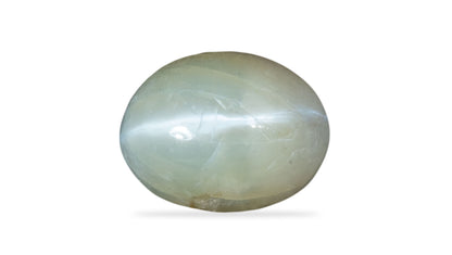 Cat's Eye (Lehsuniya) 3.38 Carats / 3.71 Ratti